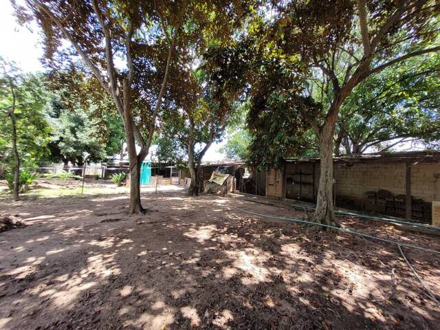 #209332 - Terreno para Venta en Tocuyito - G