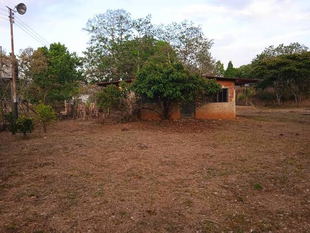 Venta en Autopista Valencia Campo de Carabobo - Tocuyito