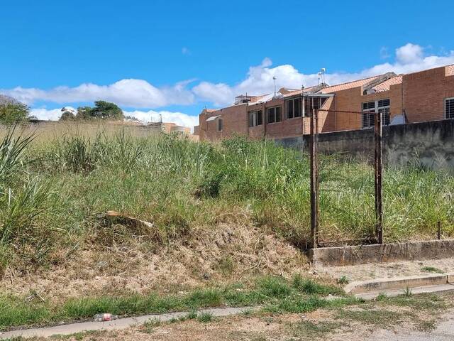 #211224 - mini finca para Venta en Valencia - G