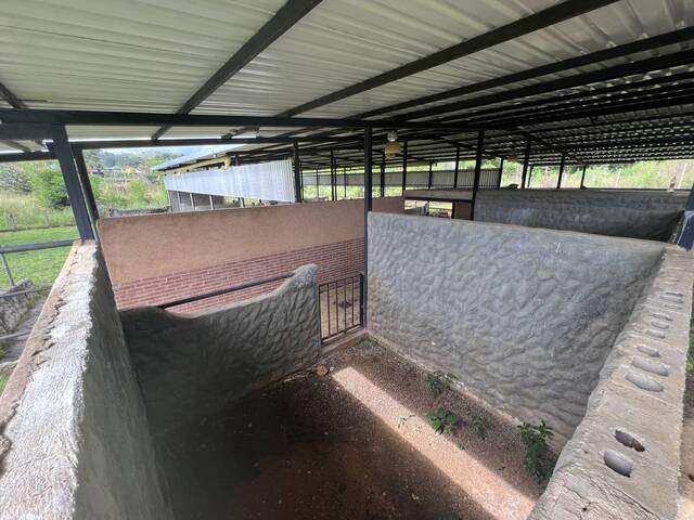 #289953 - mini finca para Venta en Valencia - G