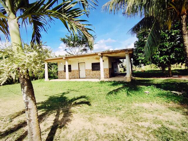 Venta en Miguel Peña - Valencia