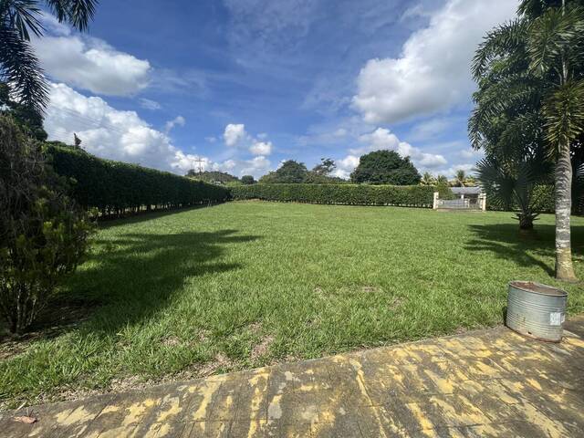 Venta en Safari Carabobo - Valencia
