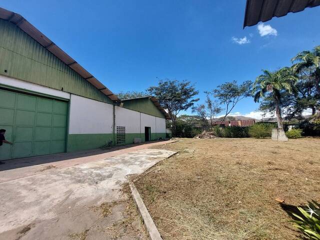 #219387 - Galpón para Alquiler en Guacara - G
