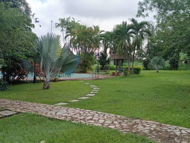 #221169 - mini finca para Venta en Tinaquillo - H - 3