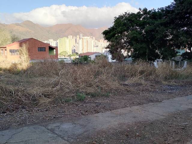 #225818 - Terreno para Venta en Valencia - G