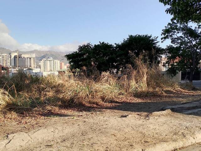 Terreno para Venta en Valencia - 4