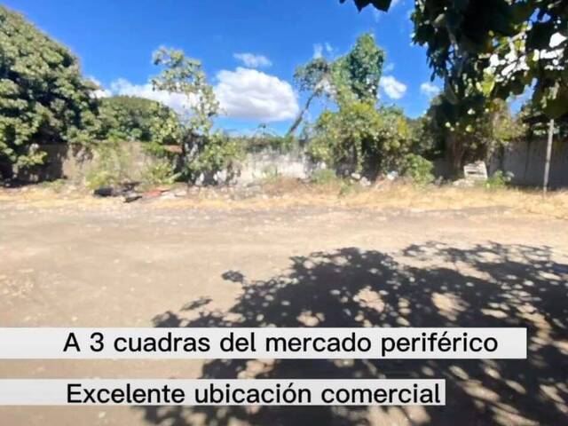 Terreno para Venta en Valencia - 5