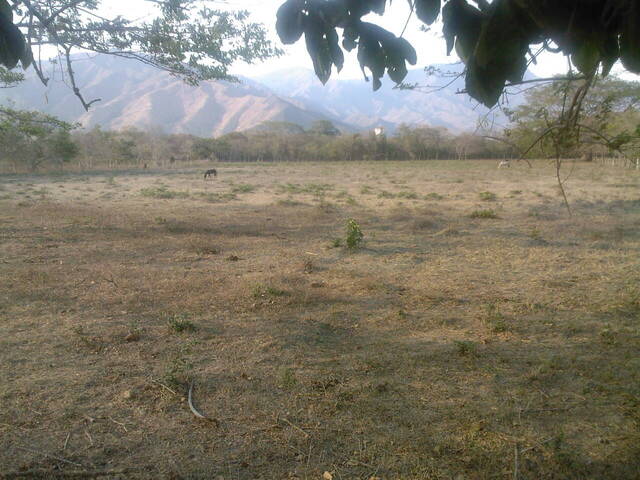 #20719 - Terreno para Venta en Valencia - G