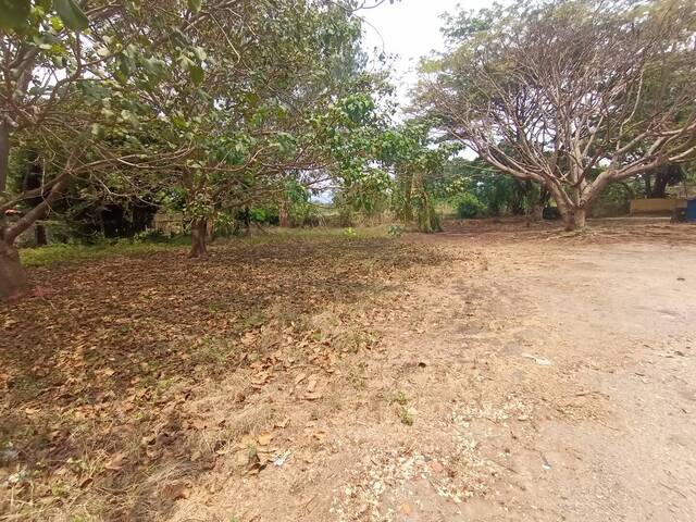 #234783 - mini finca para Venta en Valencia - G - 1