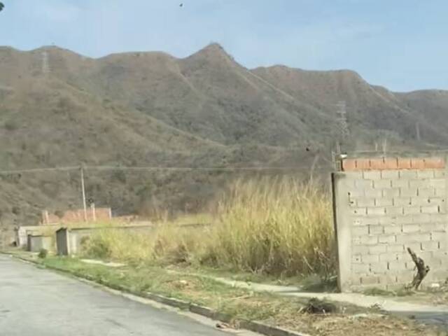Terreno para Venta en Valencia - 3