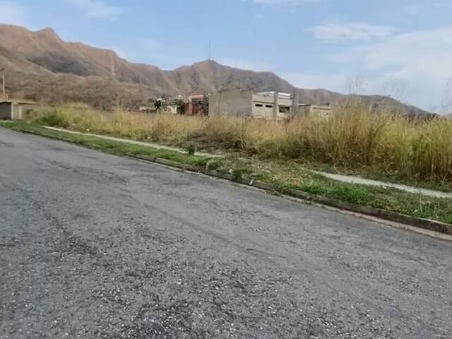 Terreno para Venta en Valencia - 4