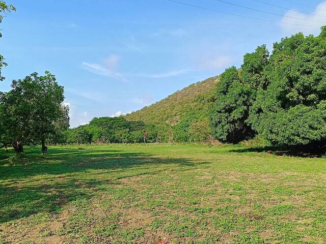 Venta en Vigirima - Guacara
