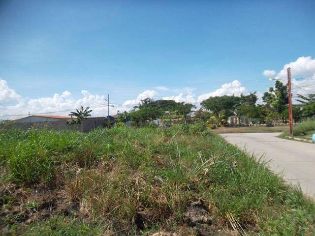 #248889 - Terreno para Venta en Valencia - G