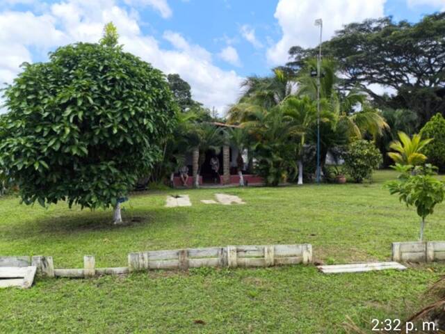 #303377 - Terreno para Venta en Valencia - G