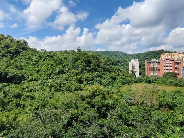 #257859 - Apartamento para Venta en Valencia - G