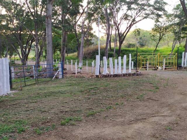 #259310 - mini finca para Venta en Bejuma - G