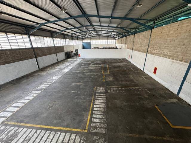#261101 - Galpón para Venta en Valencia - G