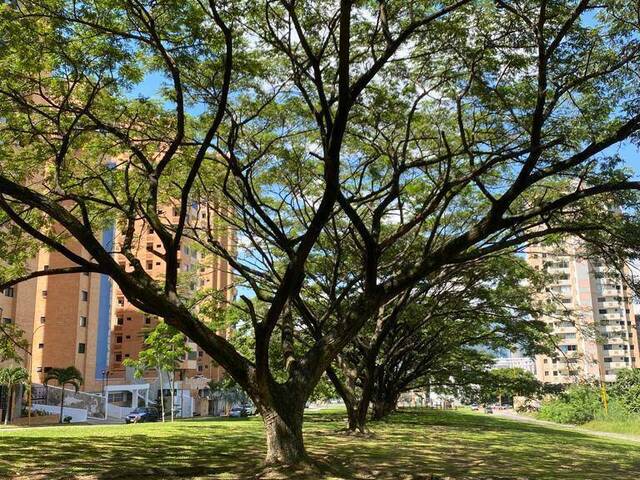 #262802 - Apartamento para Venta en Valencia - G