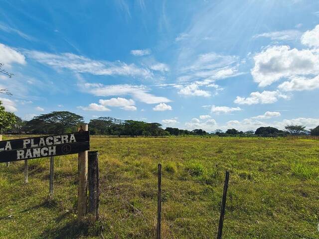 #24169 - Hacienda / Finca / Granja para Venta en Valencia - G - 3