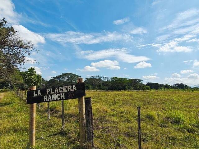 #24169 - Hacienda / Finca / Granja para Venta en Valencia - G - 2