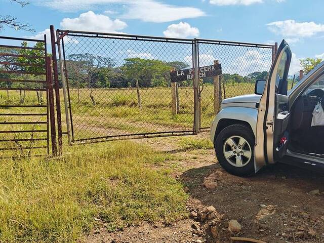 #24169 - Hacienda / Finca / Granja para Venta en Valencia - G - 1