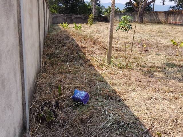 #266494 - Terreno para Venta en Valencia - G - 3