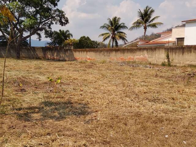 #266494 - Terreno para Venta en Valencia - G - 1