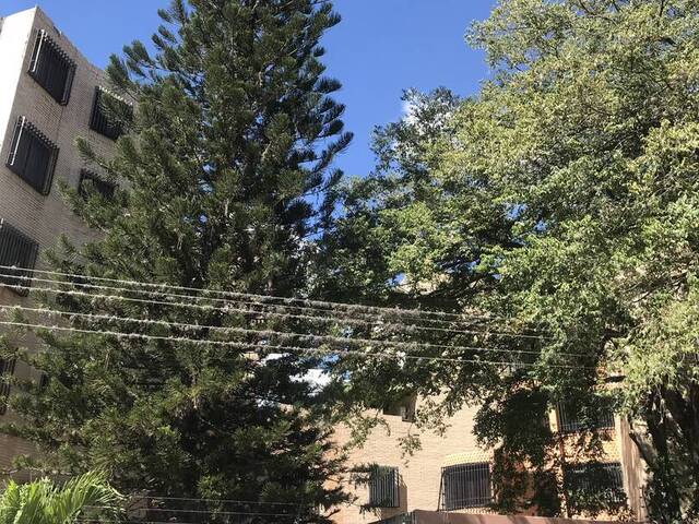 #267282 - Apartamento para Alquiler en  Naguanagua - G