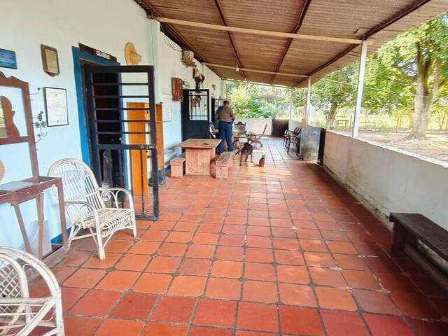 #264253 - Hacienda / Finca / Granja para Venta en Valencia - G - 1