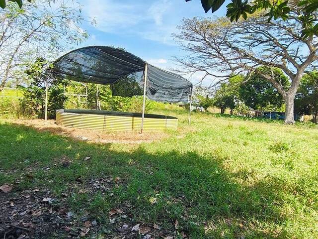 #264253 - Hacienda / Finca / Granja para Venta en Valencia - G - 3