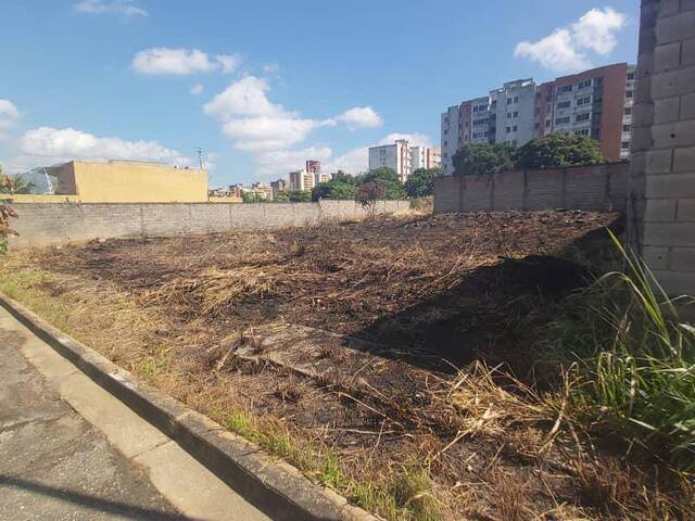 Terreno para Venta en Valencia - 2