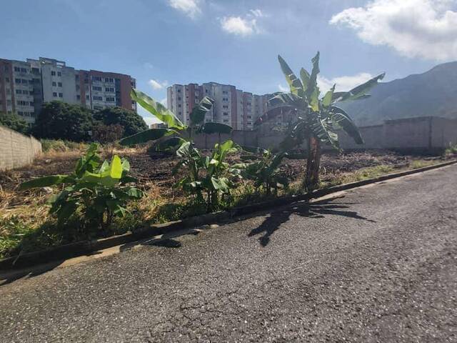 Terreno para Venta en Valencia - 3