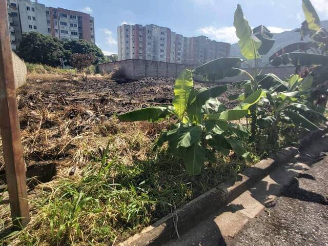 Terreno para Venta en Valencia - 5