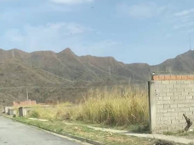para en - 3