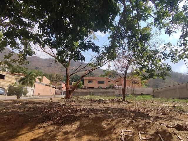 Terreno para Venta en Valencia - 4