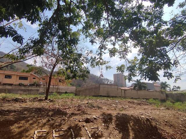 Terreno para Venta en Valencia - 5