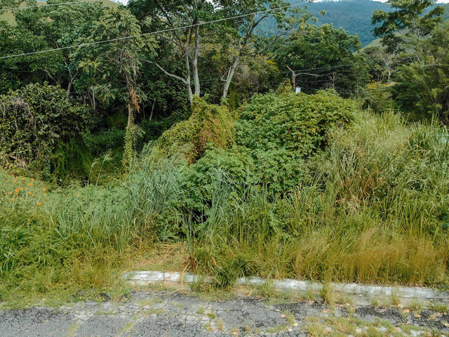 Terreno para Venta en Naguanagua - 2