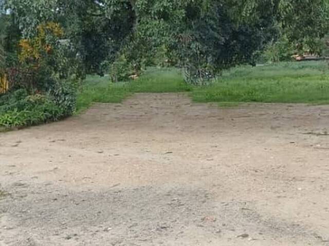 #274333 - mini finca para Venta en Valencia - G - 3