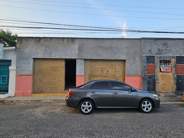 Alquiler en Casco Central -  Naguanagua