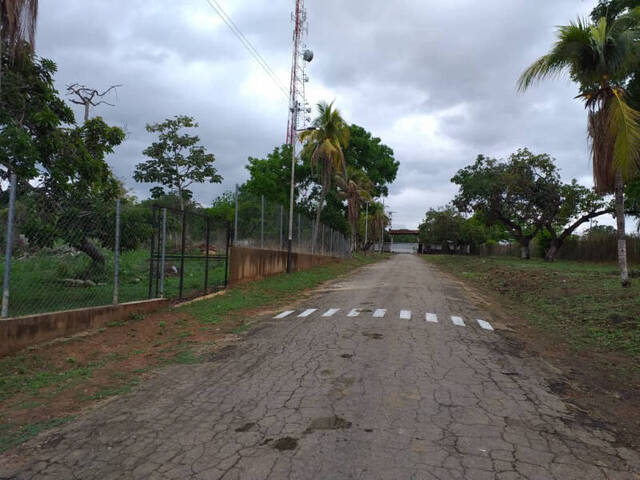 #25312 - Terreno para Venta en Valencia - G