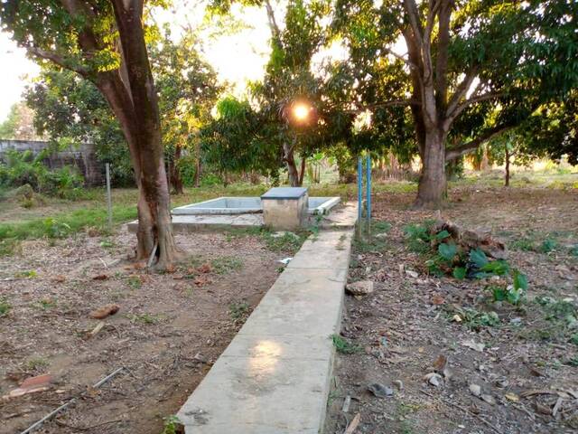 #275459 - mini finca para Venta en Valencia - G