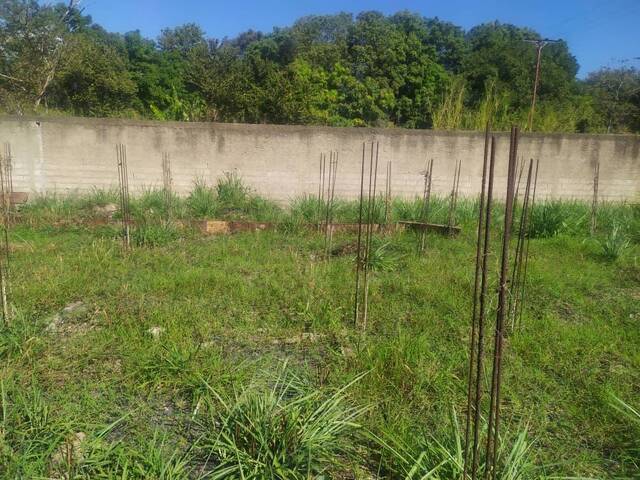 #275462 - mini finca para Venta en Valencia - G - 2