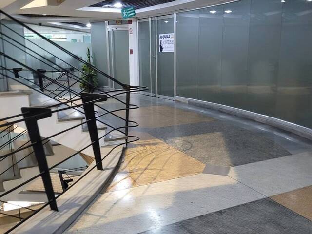 Oficina para Venta en Valencia - 3