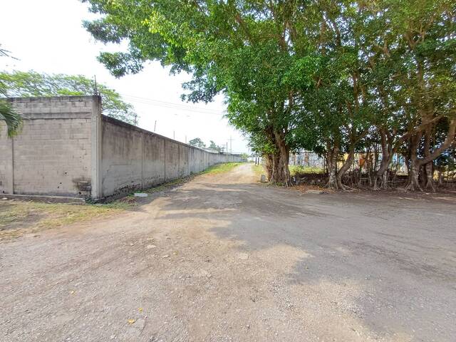 Alquiler en Rotafe -  Naguanagua