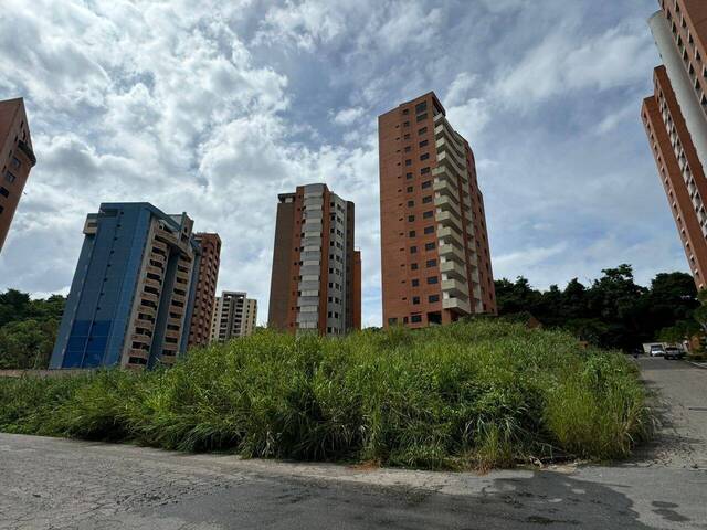 #25460 - Terreno para Venta en Valencia - G
