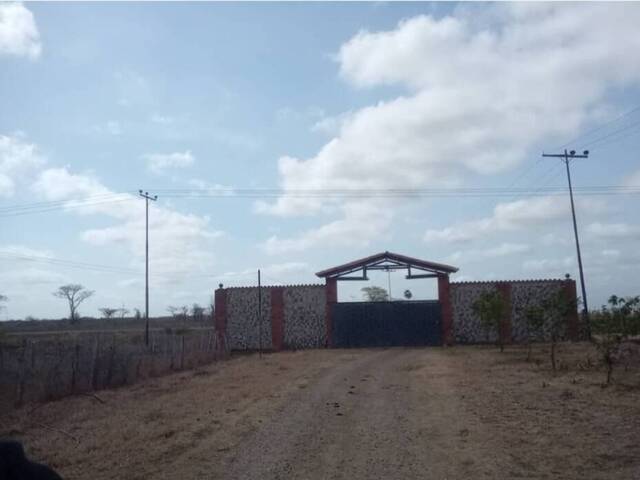 #276790 - Hacienda / Finca / Granja para Venta en Valencia - G - 1