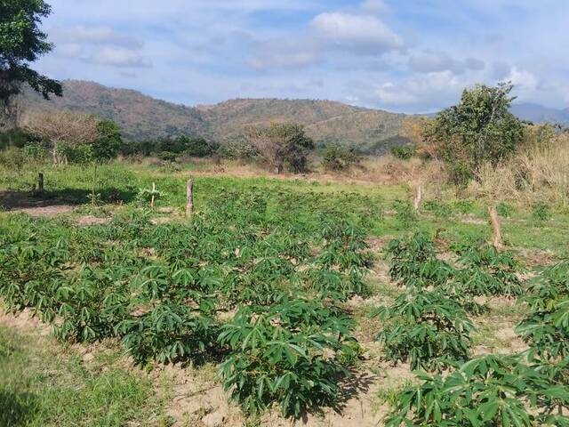Venta en Yagua - Guacara