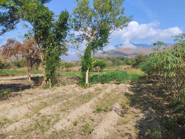 #277366 - Terreno para Venta en Guacara - G - 2