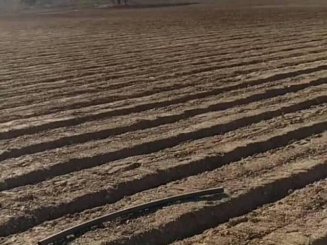 #279316 - Hacienda / Finca / Granja para Venta en Valencia - G - 2