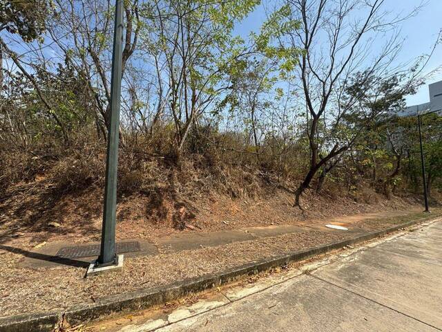 #279616 - Terreno para Venta en Valencia - G - 2
